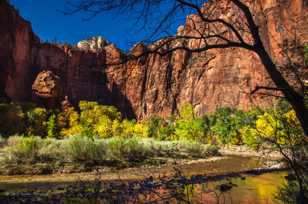 Zion Canyon, Fall-4433.jpg Zion Canyon, Fall-4433.jpg